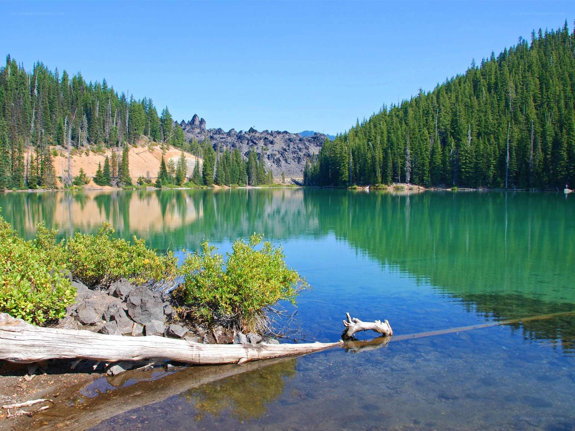 Calm lake in forested mountains