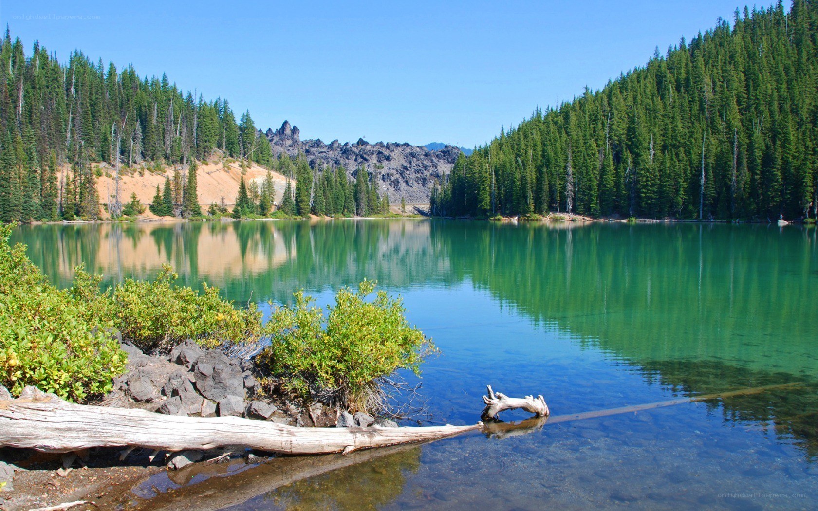 Calm lake in forested mountains