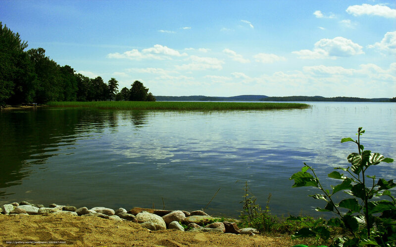 Calm lake on a sunny day