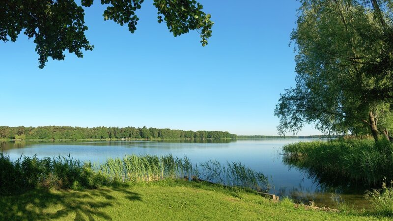 Calm lake on a sunny day