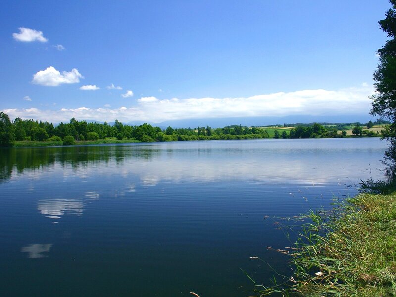 Calm lake on a sunny day