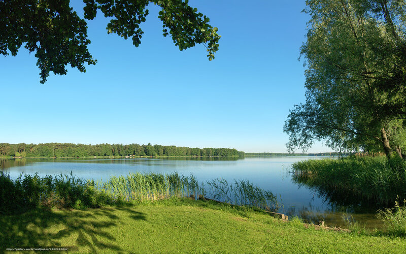 Calm lake on a sunny day