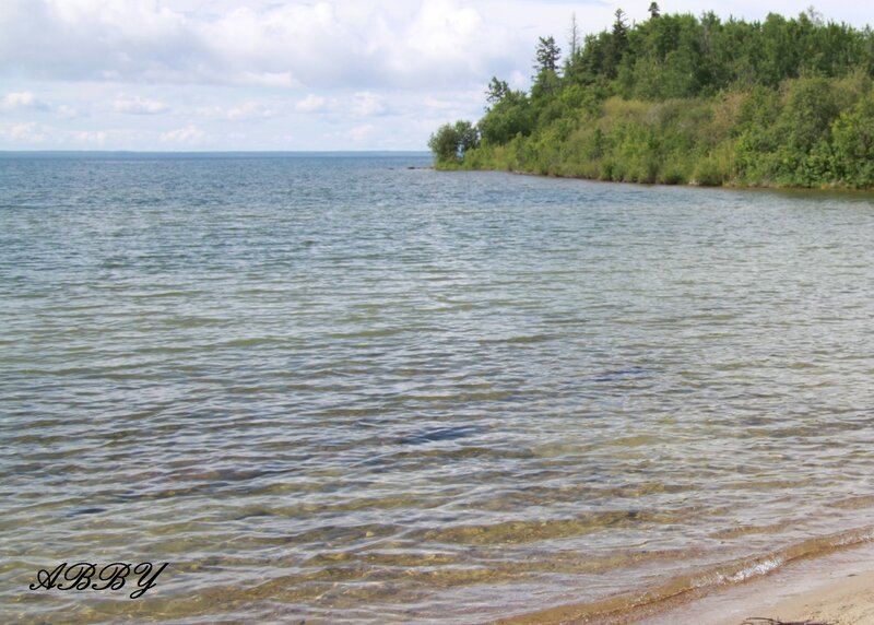Calm Lake Shoreline — Blue