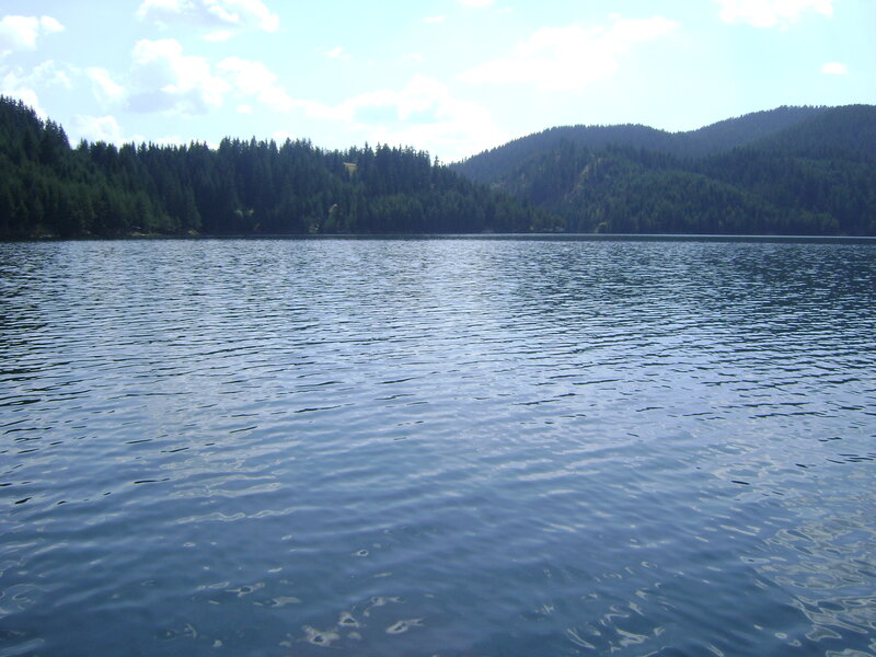Calm Lake Surrounded by Forest — Blue