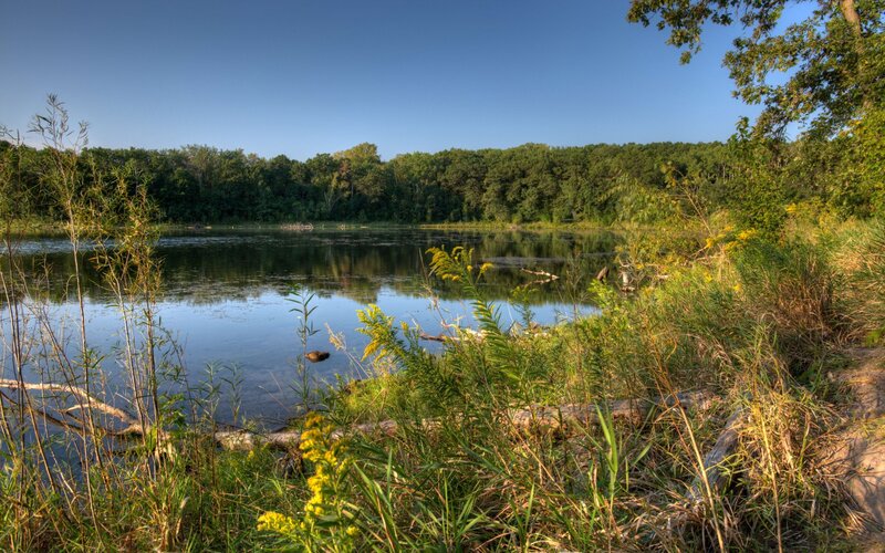 Calm lake surrounded by trees