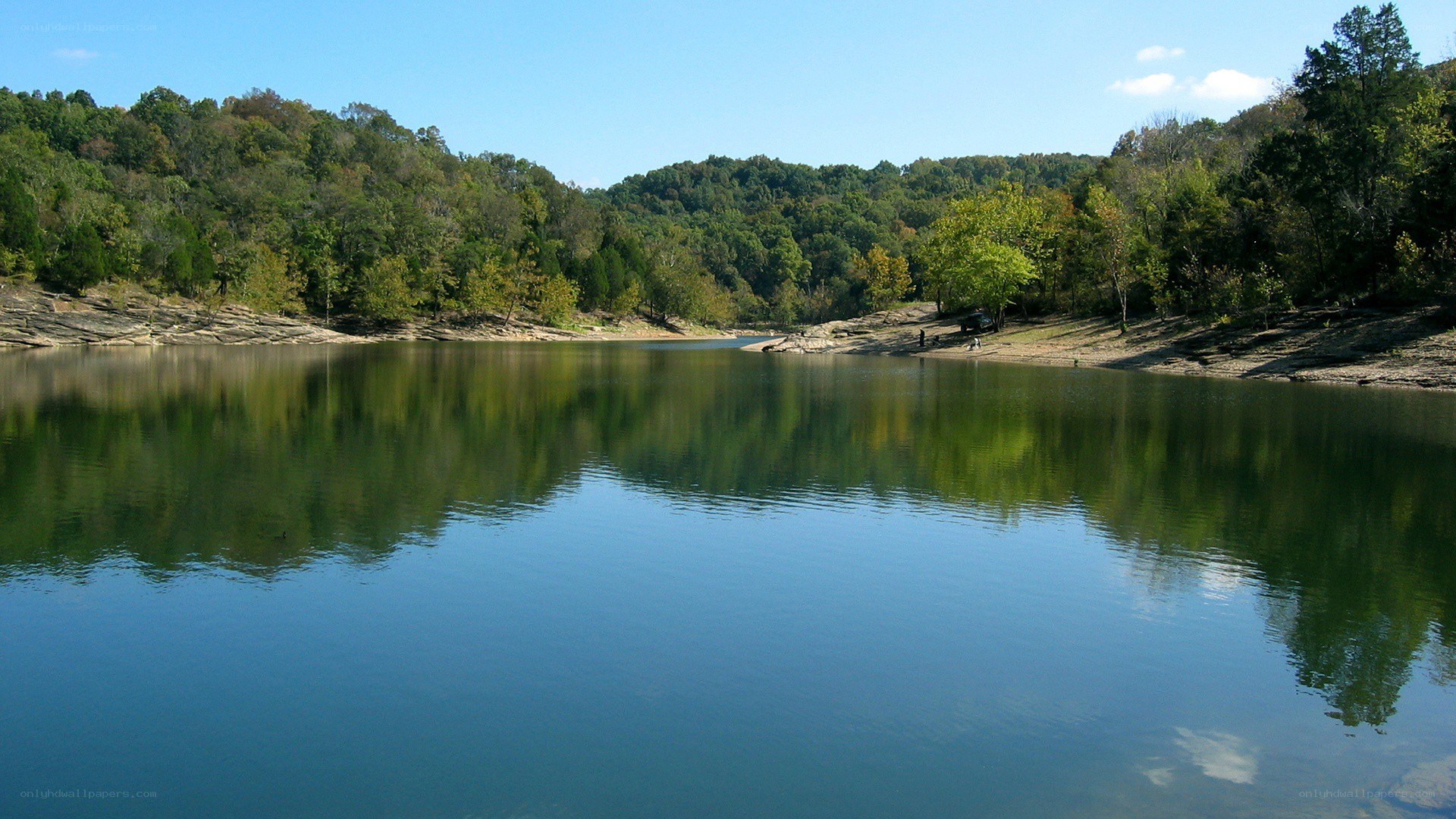 calm lake surrounded by trees