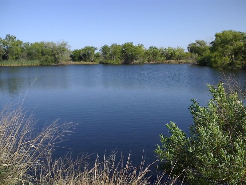 Calm Lake Surrounded by Trees — Blue, Serene