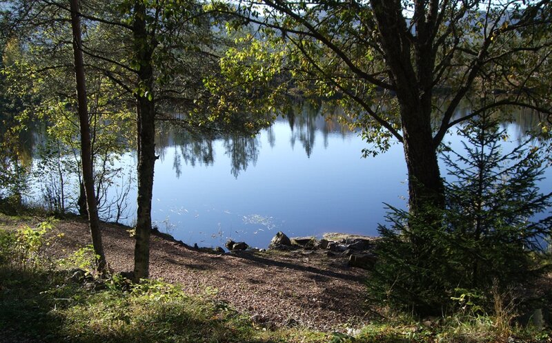 Calm Lake Surrounded by Trees — Blue