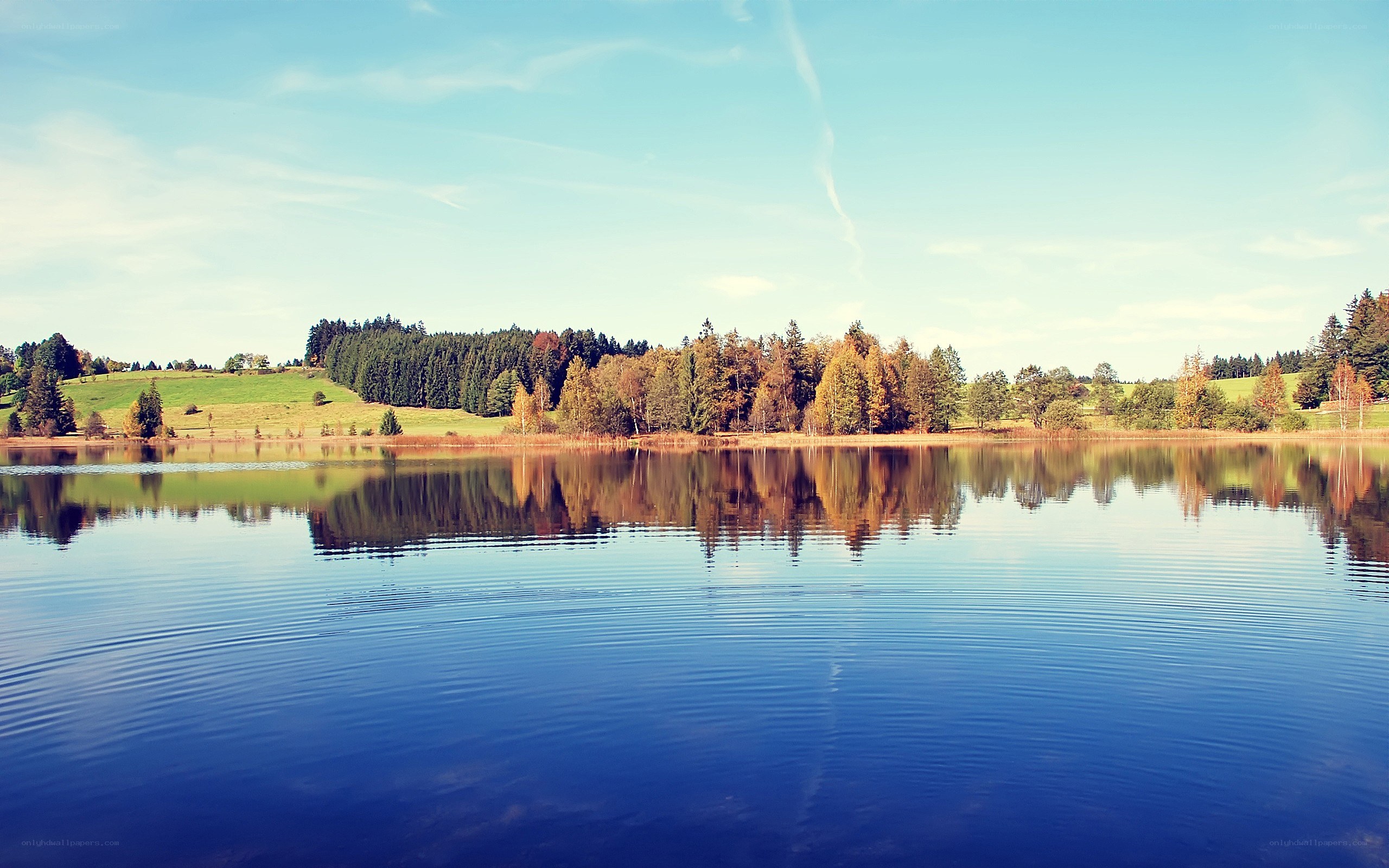 Calm lake with autumn trees