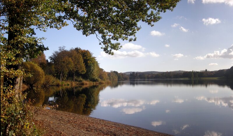 Calm lake with autumn trees