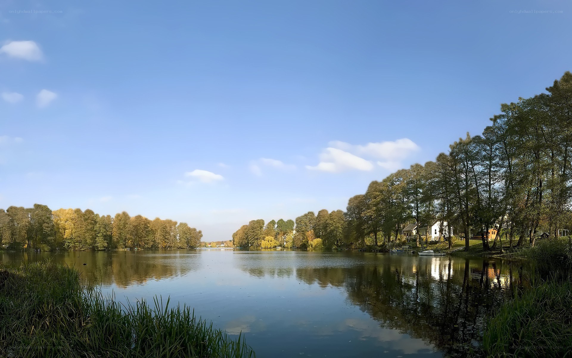 Calm lake with autumn trees