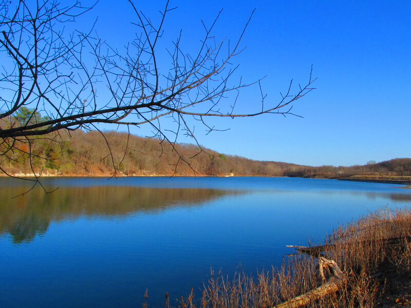 Calm Lake with Bare Branches — Blue