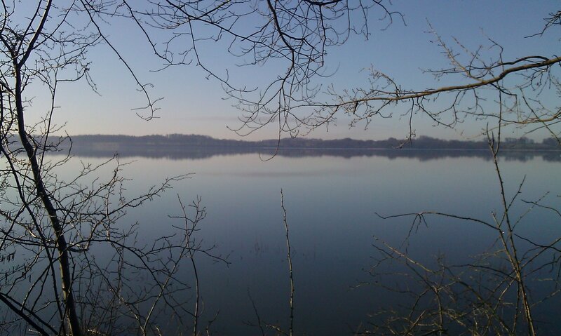 Calm Lake with Bare Branches