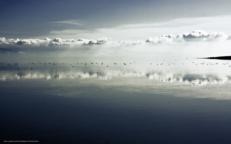 Calm lake with birds