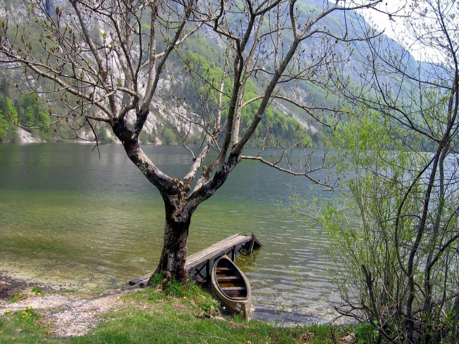 Calm lake with canoe and tree