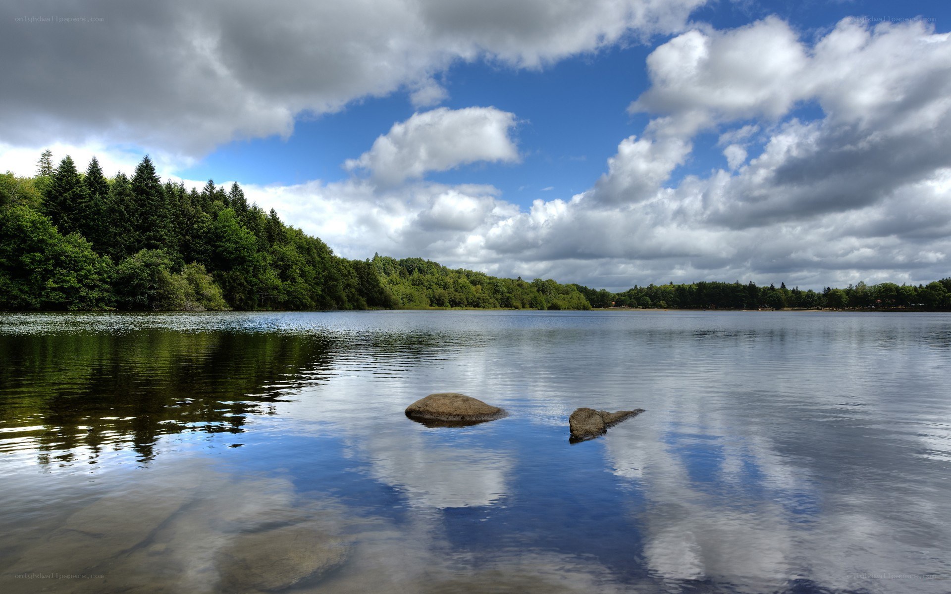 Calm lake with forest and clouds