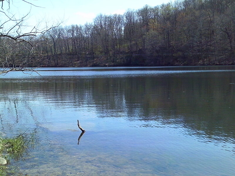 Calm lake with forest backdrop