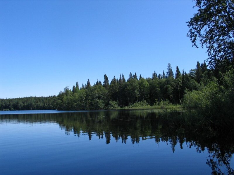 Calm Lake with Forest — Blue, Serene, Afternoon, Photograph, Trees, Sky
