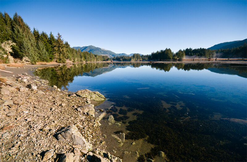 Calm Lake with Forest — Blue, Serene, Morning