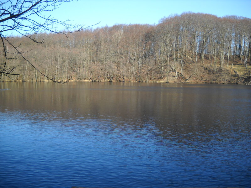 Calm Lake with Forest — Blue, Serene