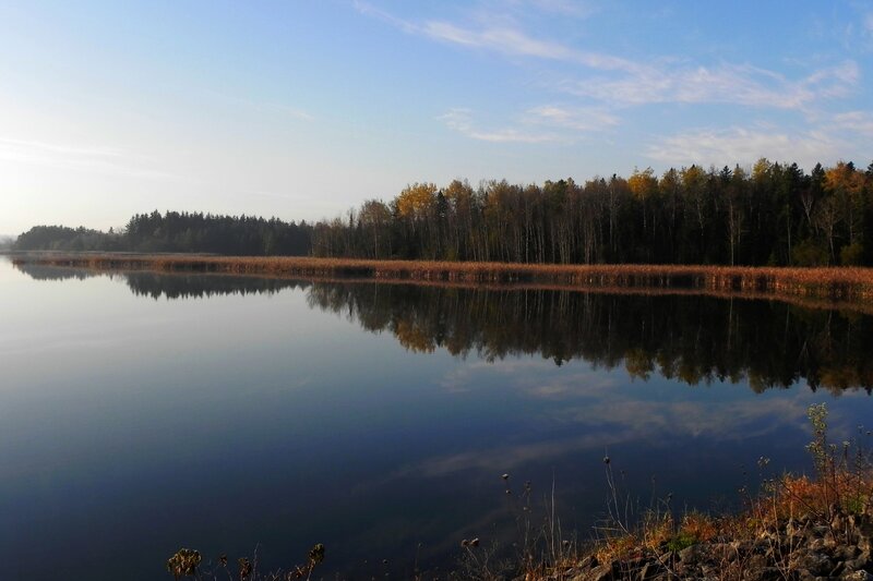 Calm Lake with Forest — Blue