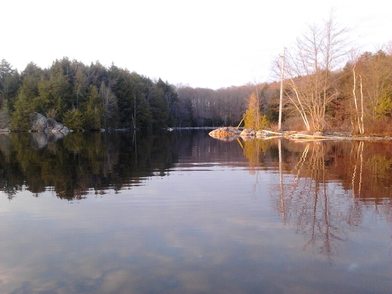 Calm Lake with Forest — Brown