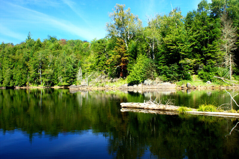 Calm Lake with Forest — Green, Serene, Afternoon, Photograph