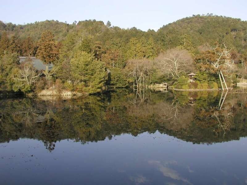 Calm Lake with Forest — Green, Serene, Autumn