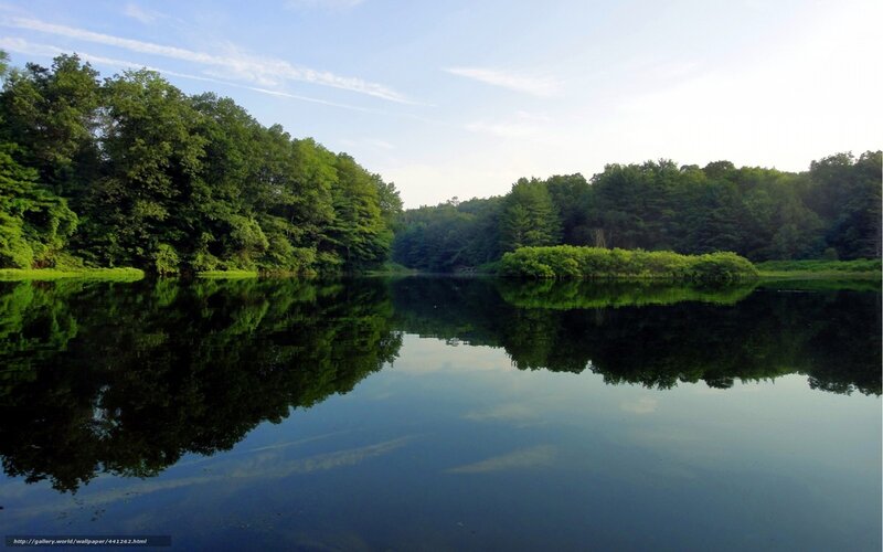 Calm Lake with Forest — Green, Serene, Morning