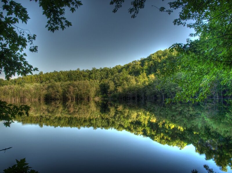 Calm Lake with Forest — Green