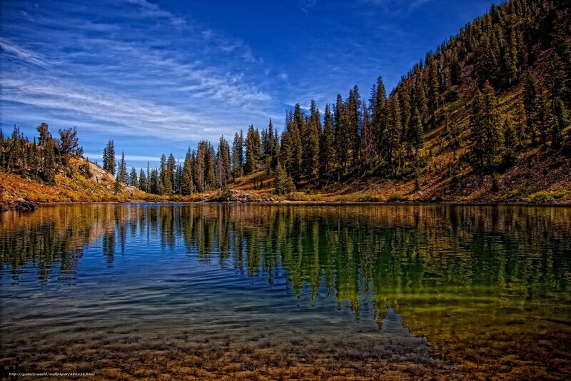 Calm lake with forest reflection