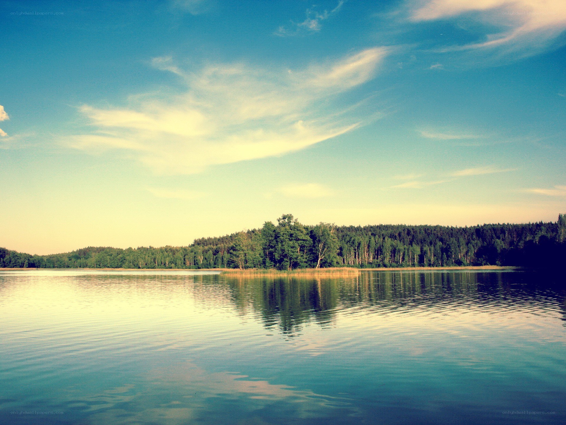 Calm lake with forest reflection