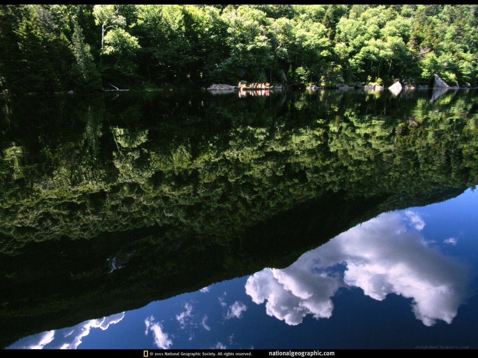 Calm lake with forest reflection