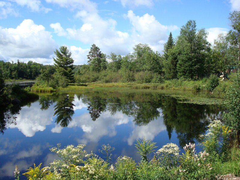 Calm lake with forest reflection