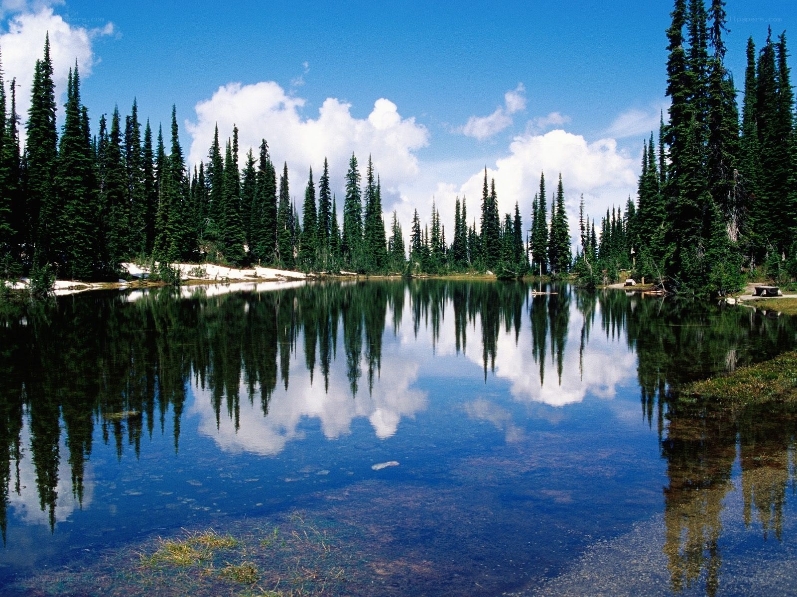 Calm lake with forest reflection