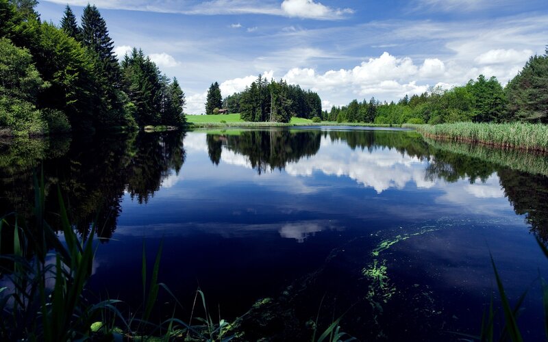 Calm lake with forest reflection