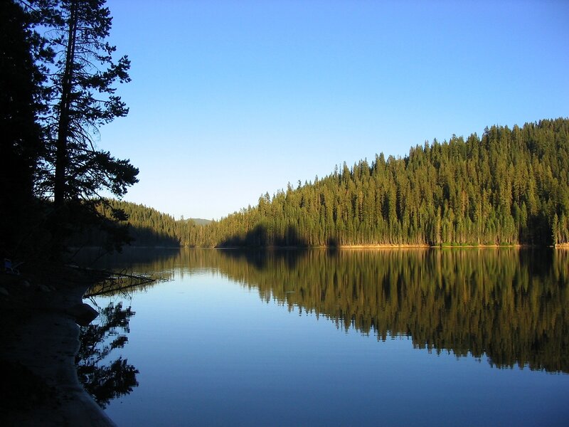 Calm lake with forest reflection