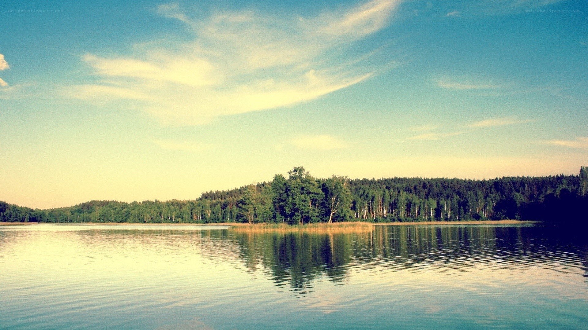 Calm lake with forest reflection