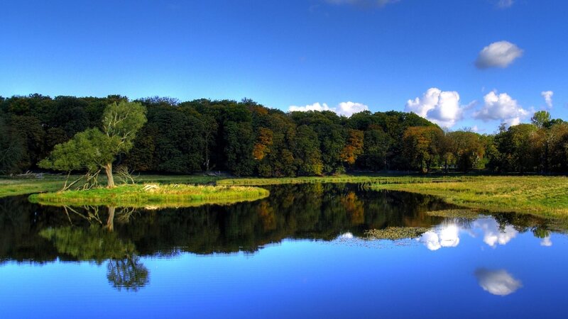 Calm lake with forest reflection