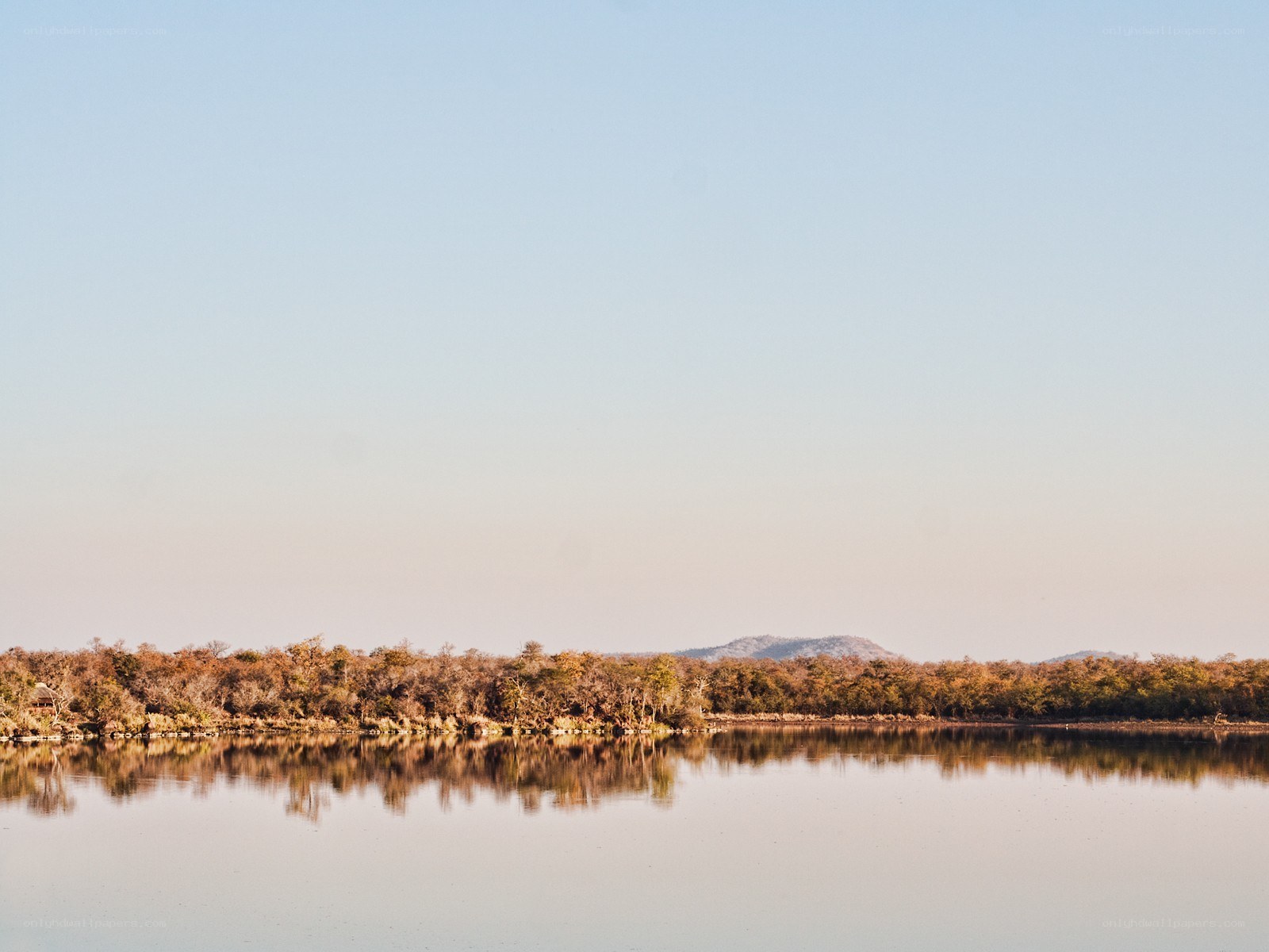 calm lake with forest reflection