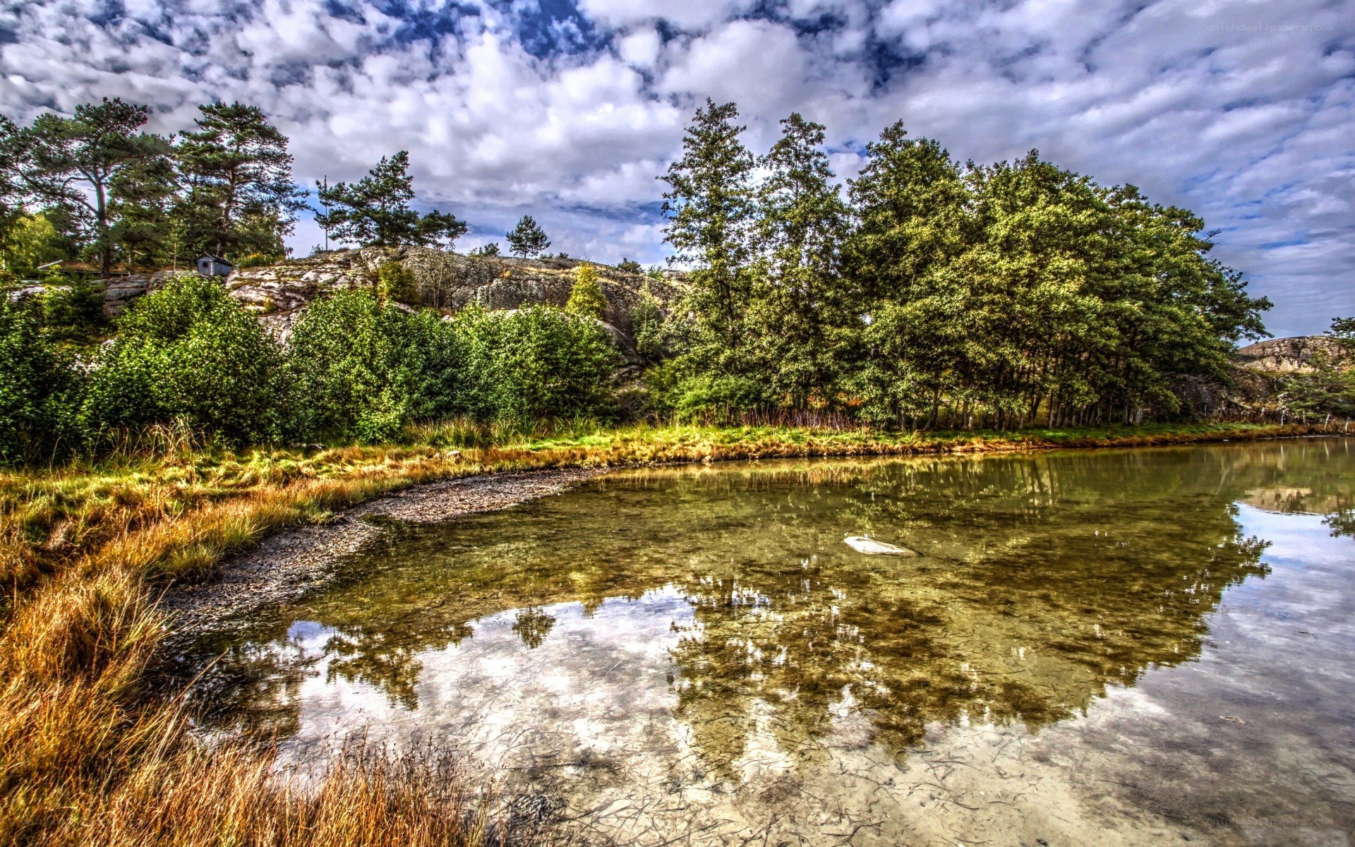 Calm lake with forest reflection
