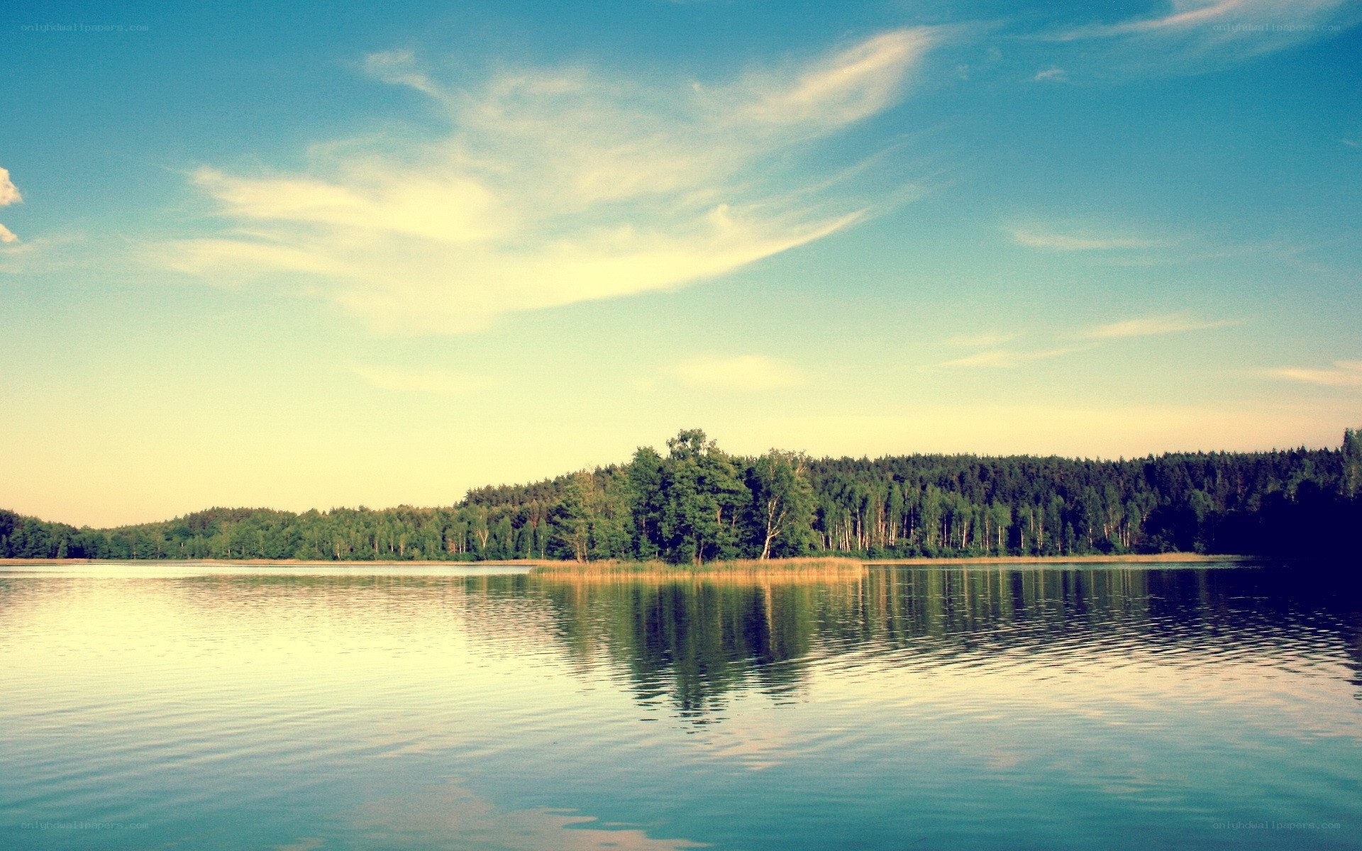 Calm lake with forest reflection