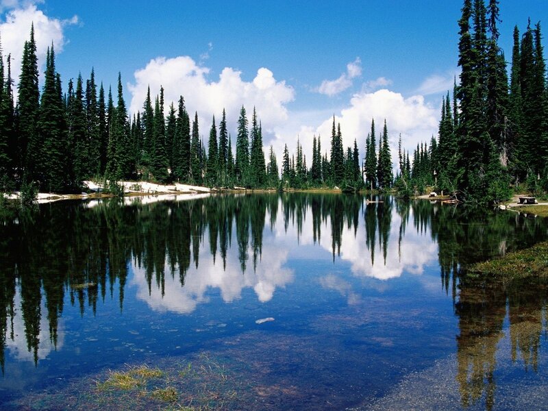 Calm lake with forest reflection