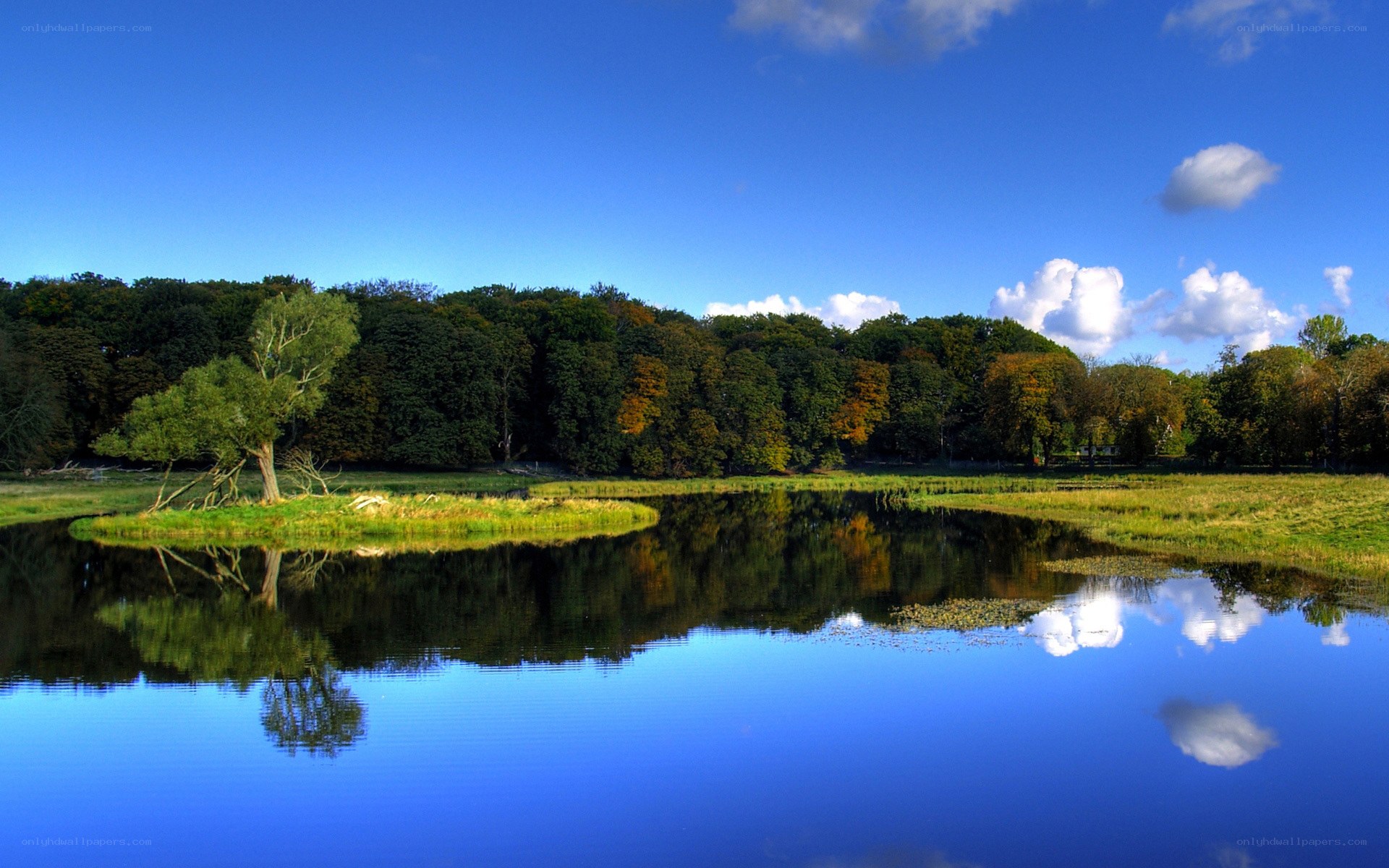 Calm lake with forest reflection