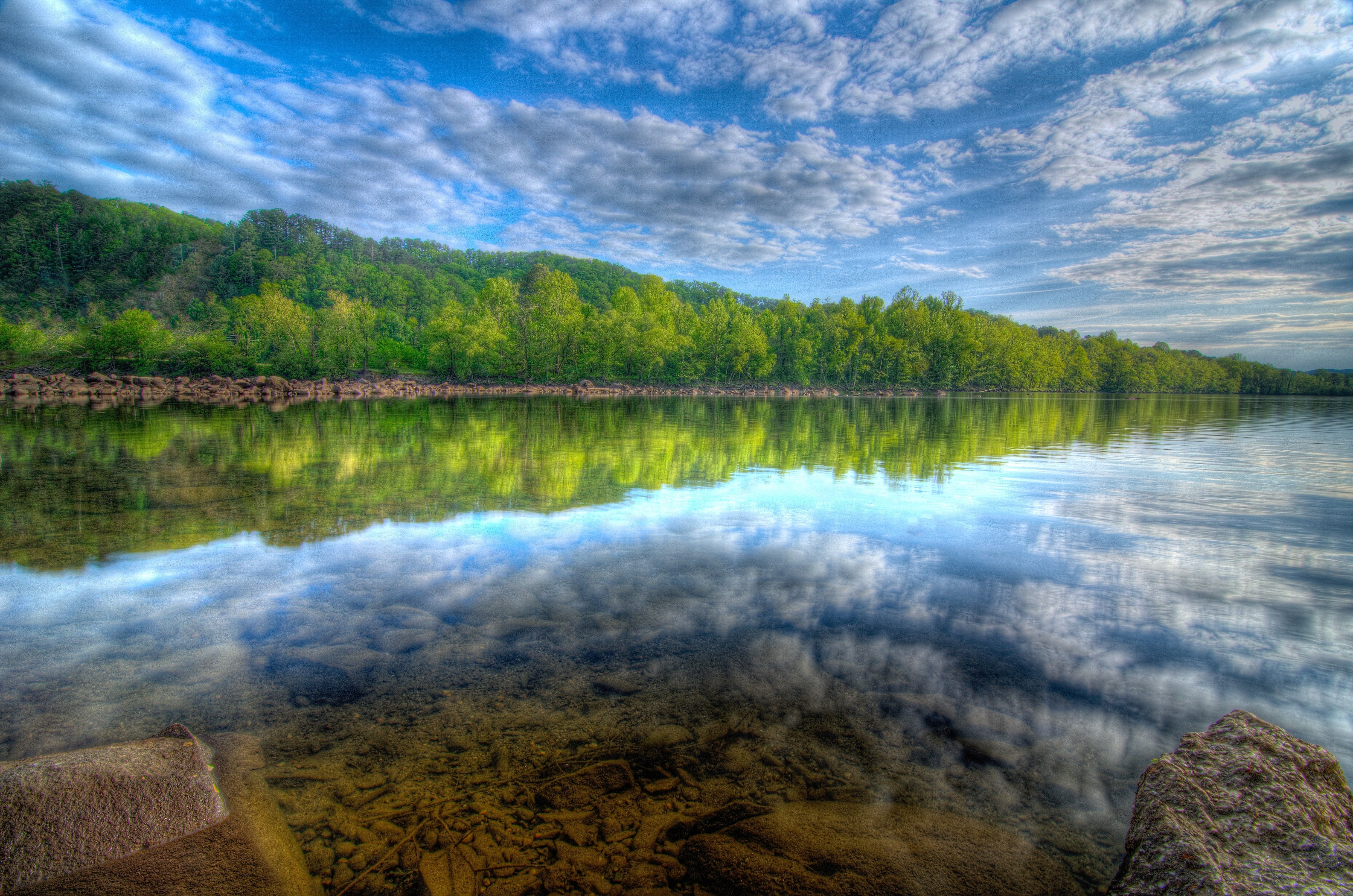 Calm lake with forest reflection