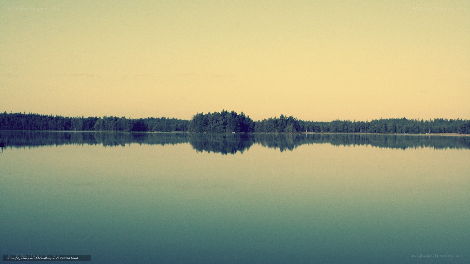 Calm lake with forest reflection