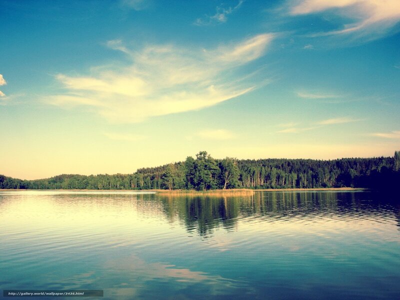Calm lake with forest reflection