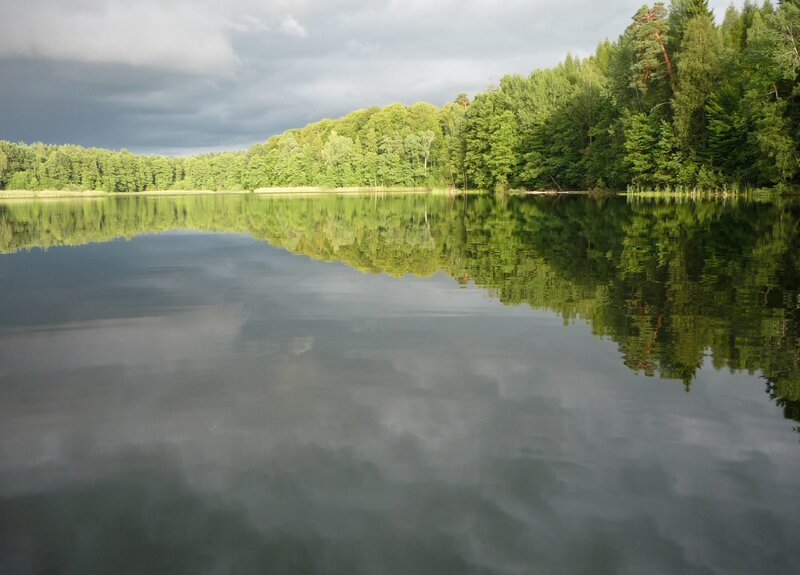 Calm Lake with Forest