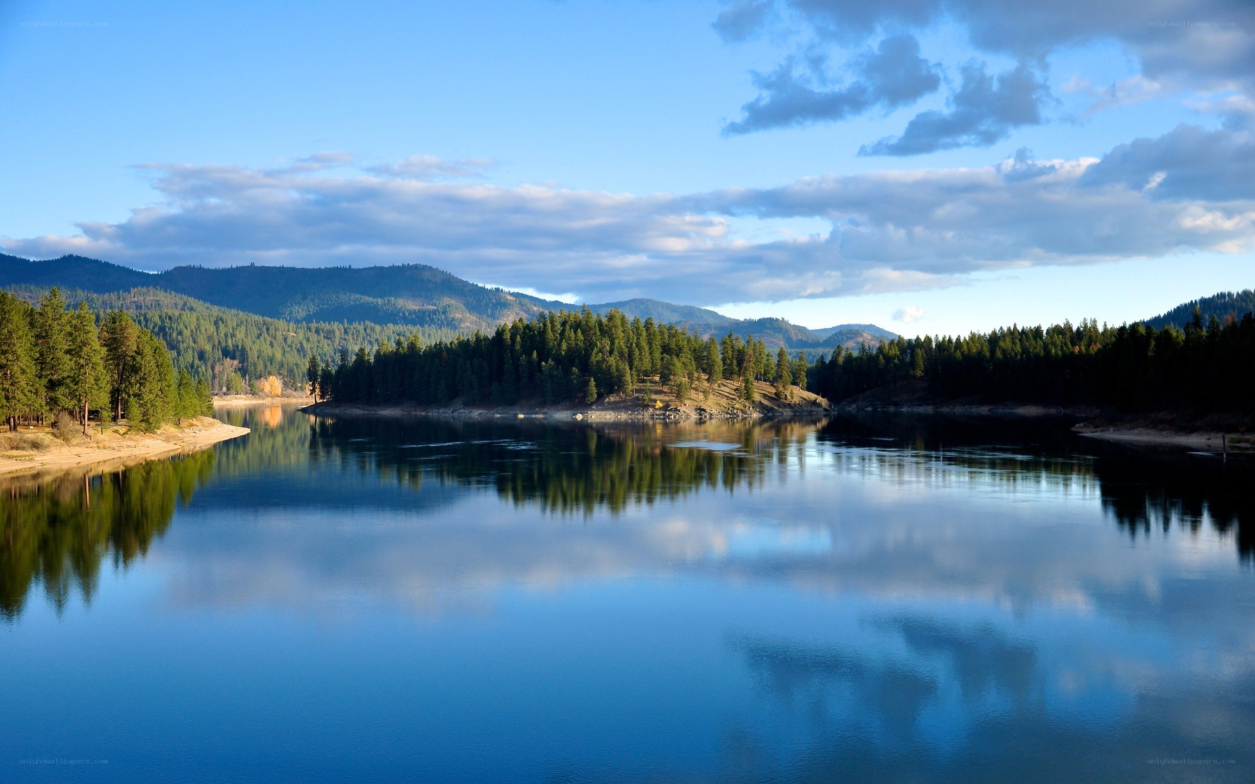 calm lake with forested mountains