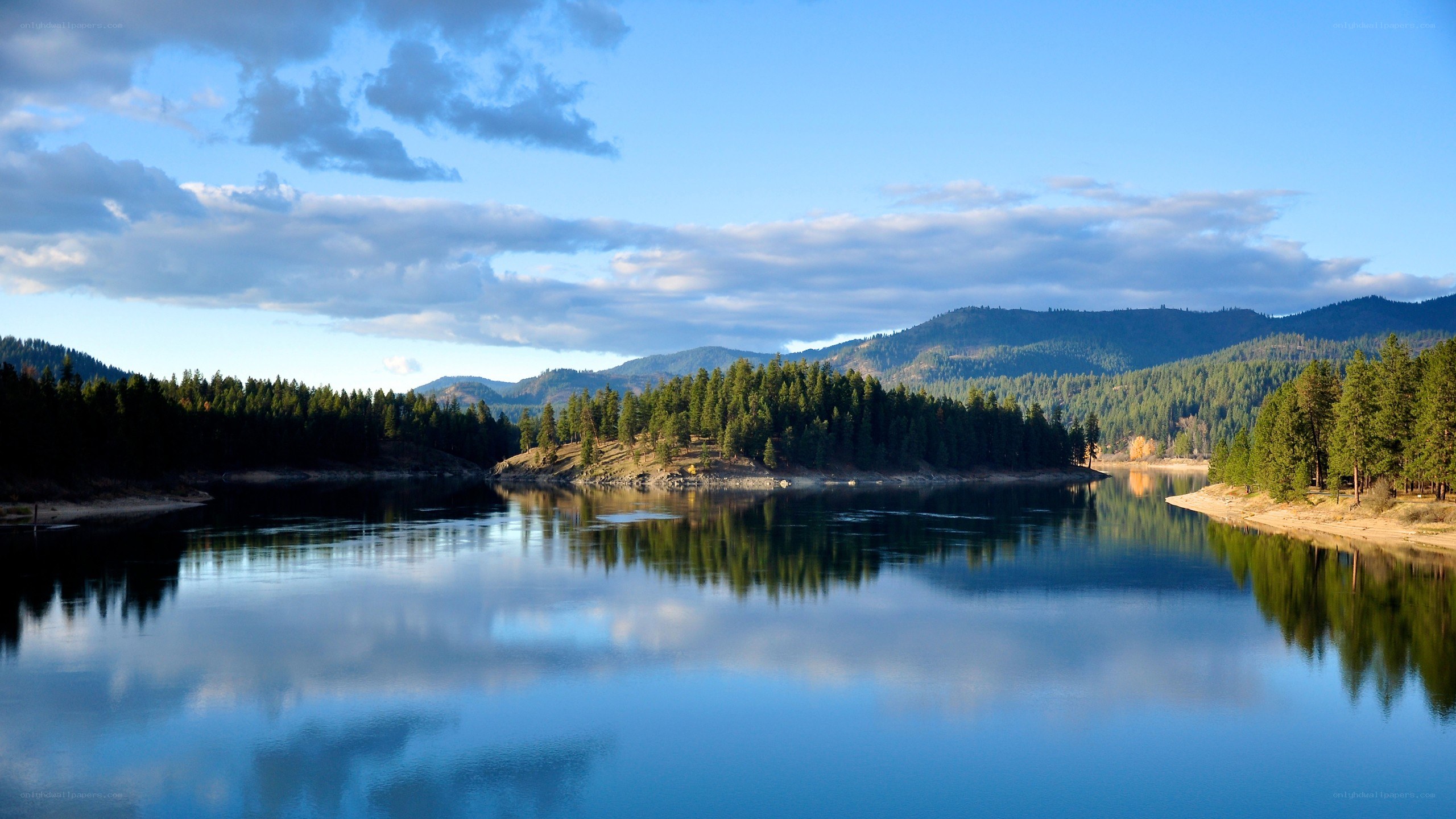 calm lake with forested mountains